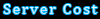 costs of server